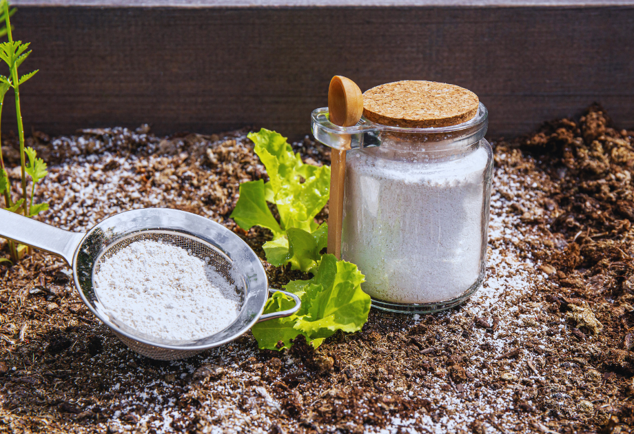 Diatomaceous earth